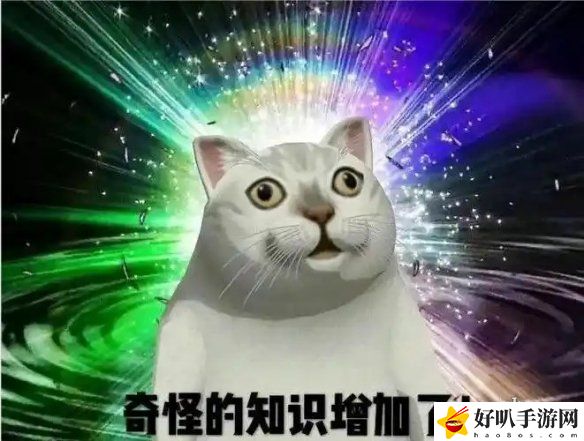 网易抢购软件_网易股东持股比例_