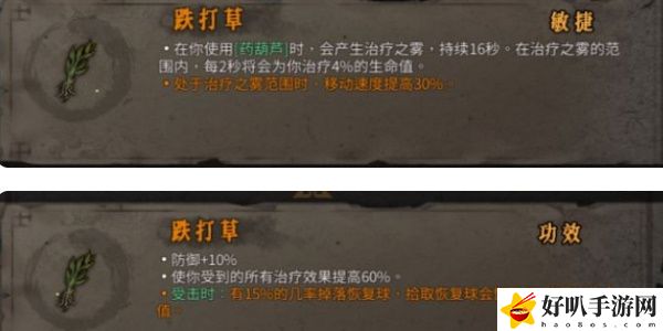 《暖雪》跌打草效果介绍