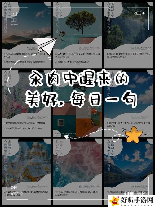 每天晚上都在汆肉中度过句子