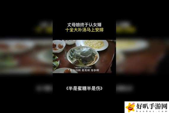 偷看女儿给女婿喂补汤的台词
