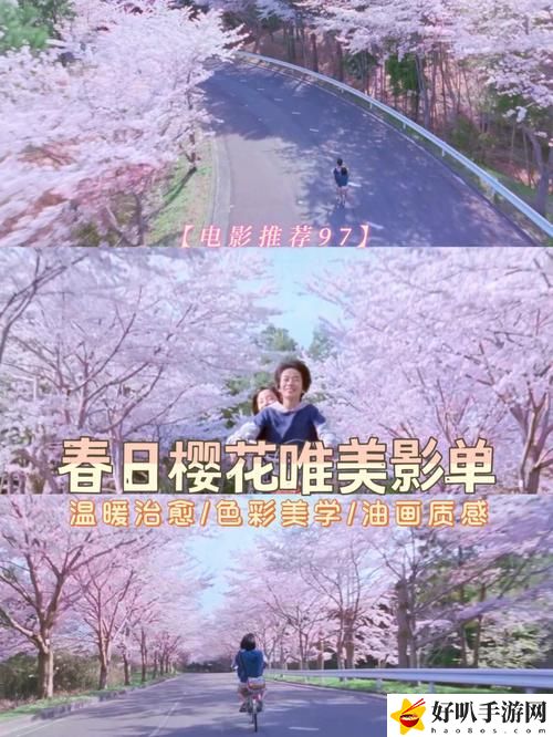 樱花电影大全免费观看