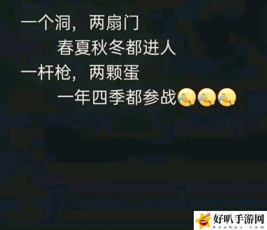 提枪直入两扇门视频