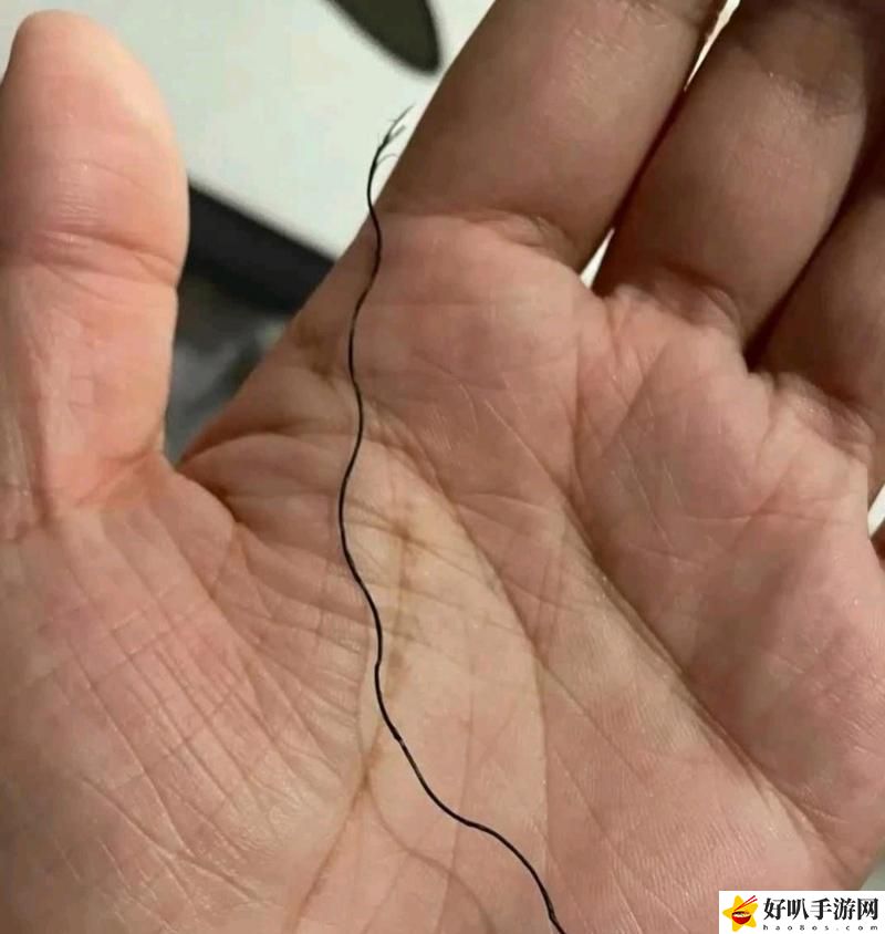 黑黑的粗粗的长长的是什么