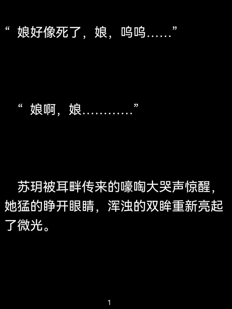 荡公乱妇第1一25章苏玥