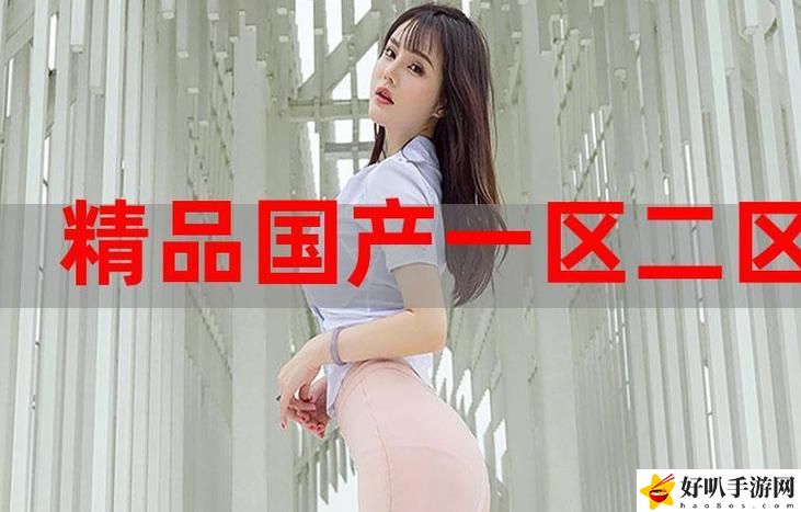 欧美精产国品一二三类产品，读者：探索高品质生活的选择