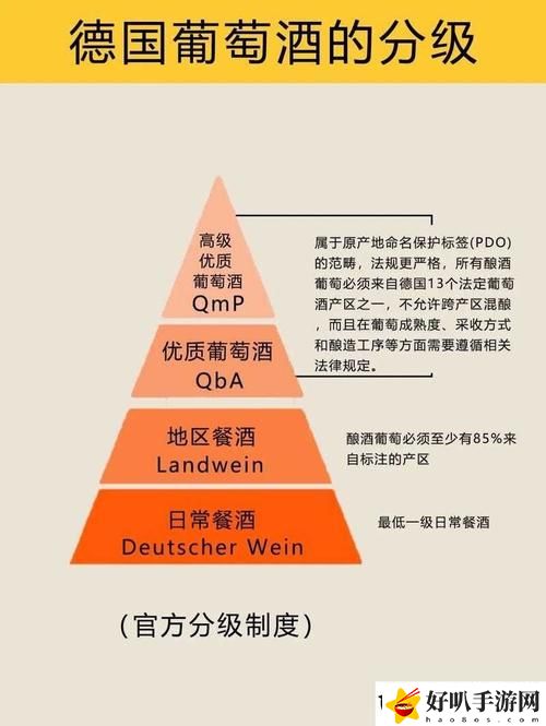 如何解读“97精产国品一二三产区”的发展现状及其对经济的影响？