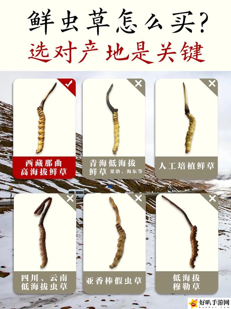 嫩草精产一二三产区揭秘，网友：太神奇了！