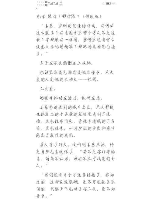疯狂的夜晚苏柔小说全文阅读